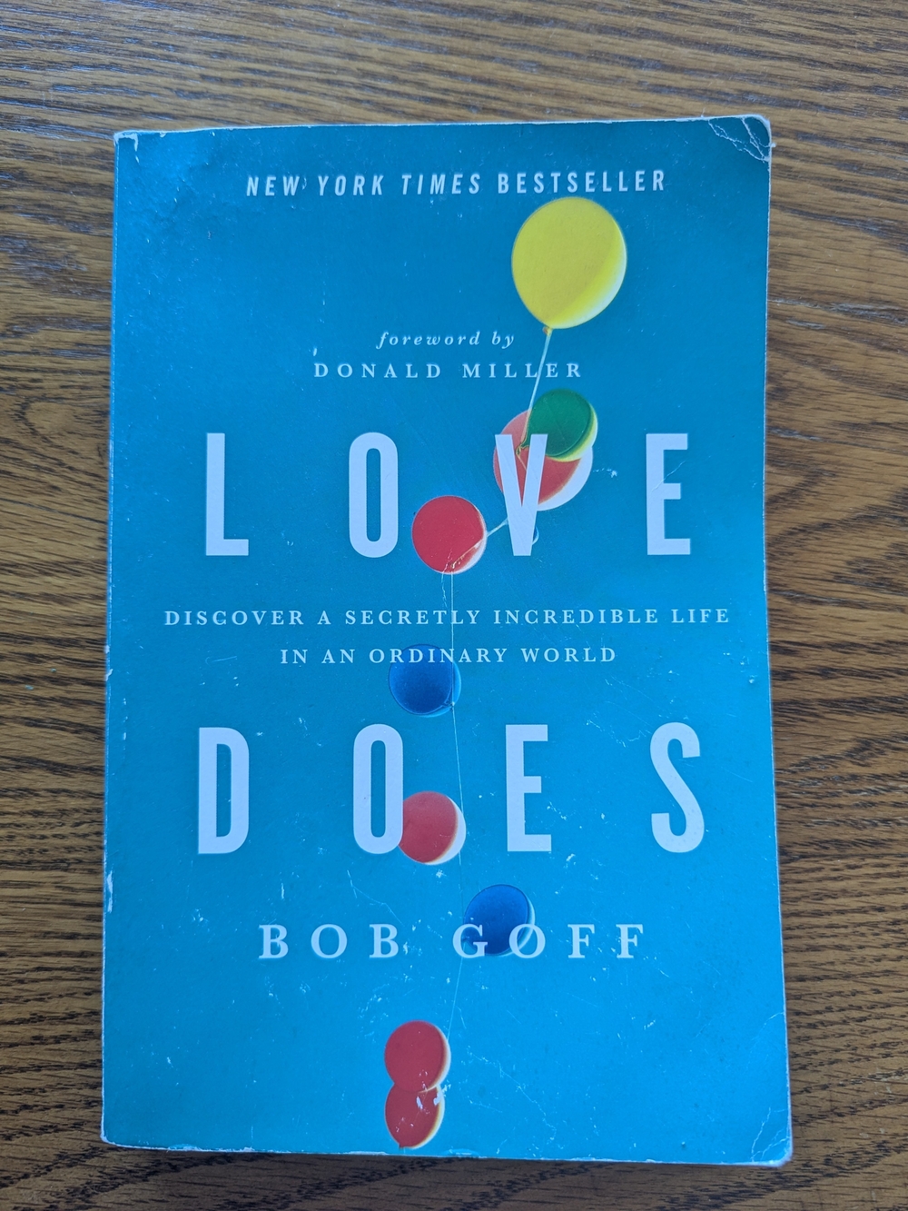 Blue 'Love Does' Kids Book -